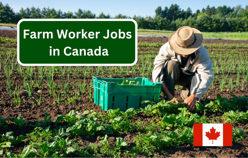 Farm Worker Jobs in Canada